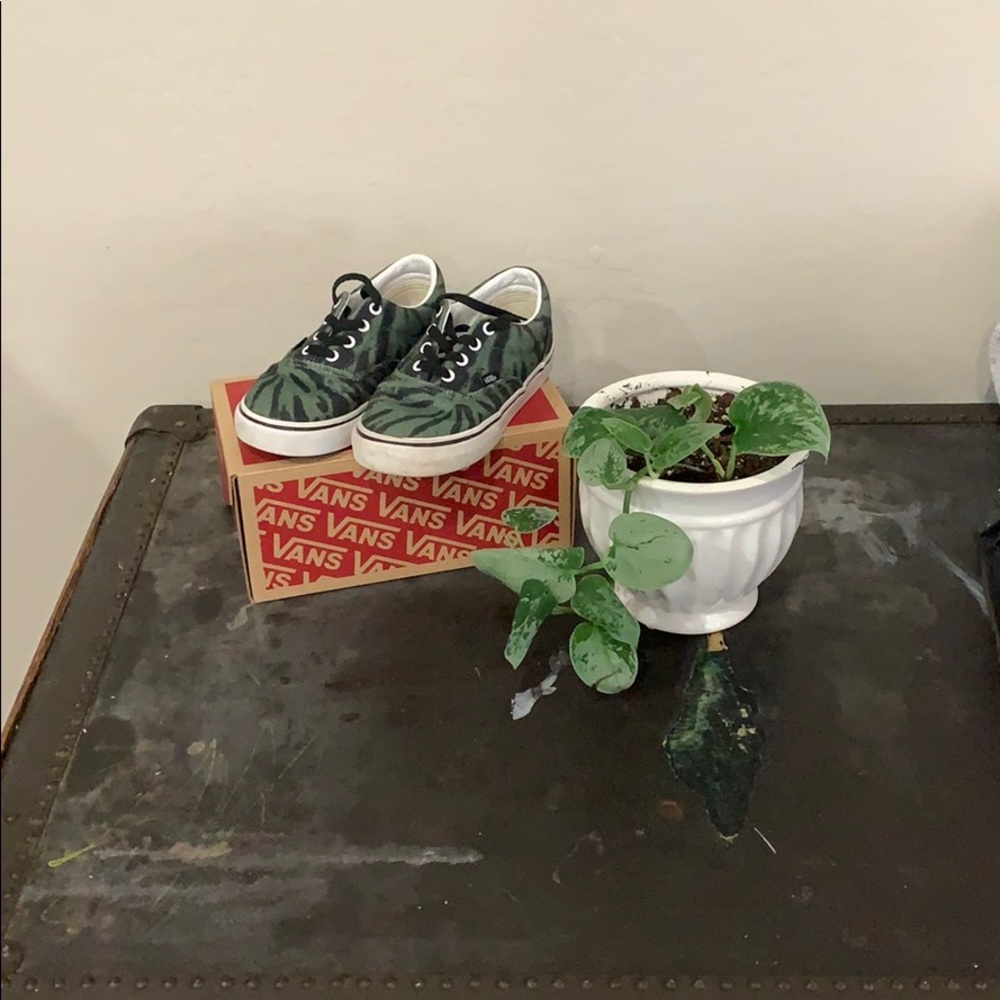 Toddler Vans